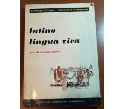 Latino lingua viva - G. Pittàno G. Codrignani - Mondadori - 1965 -M