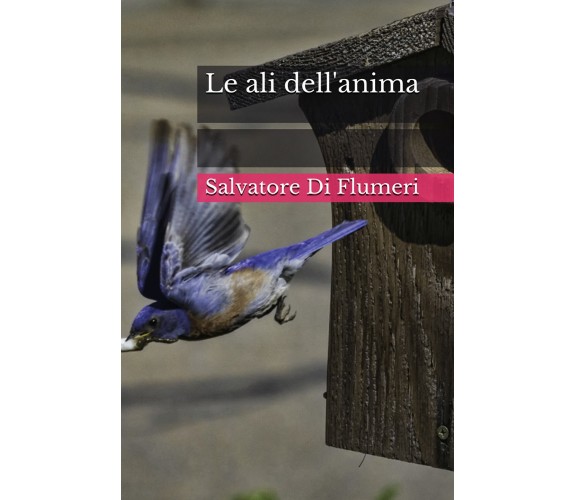 Le ali dell’anima di Salvatore Di Flumeri,  2020,  Youcanprint