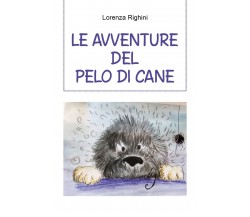 Le avventure del pelo di cane	 di Lorenza Righini,  2021,  Youcanprint