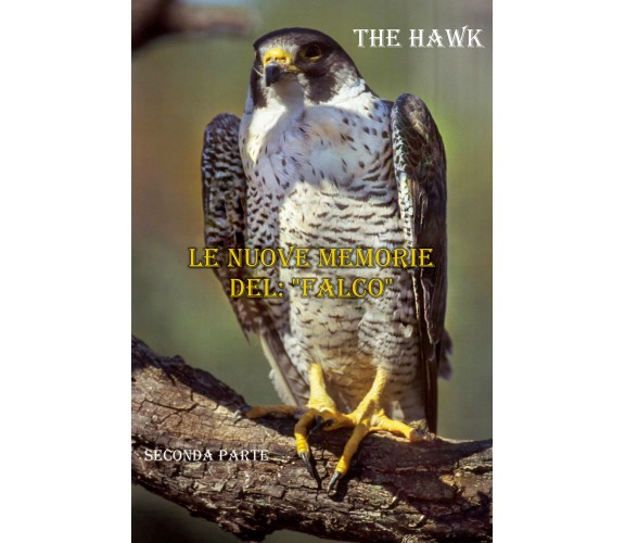 Le nuove memorie del: Falco - seconda parte di The Hawk,  2021,  Youcanprint