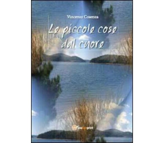 Le piccole cose dal cuore di Vincenzo Cosenza,  2013,  Youcanprint