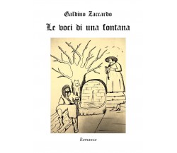 Le voci di una fontana	 di Galdino Zaccardo,  2019,  Youcanprint