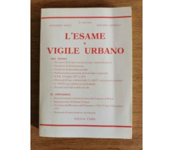 L'esame a vigile urbano - AA. VV. - CieRre - AR