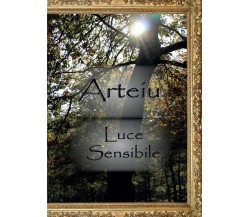 Luce sensibile	 di Arteiu,  2017,  Youcanprint