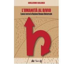 L’umanità al bivio. I passi verso la Nazione Umana Universale di Guillermo Alej