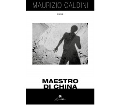 Maestro di china di Maurizio Caldini,  2017,  Youcanprint