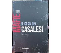 Mafie. Storie della criminalità organizzata n. 5 - Il clan dei Casalesi	 di Elis