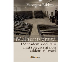 Malauniversità. L’Accademia dei falsi miti spiegata ai non addetti ai lavori	