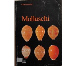 Molluschi di Carlo Pesarini, 1991, Giunti