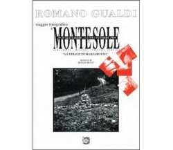 Montesole. La strage di Marzabotto, di Romano Gualdi,  2012,  Youcanprint