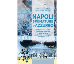 Napoli, sfumature d'azzurro - Francesco Iodice, Davide Morgera - 2021