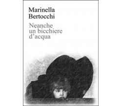 Neanche un bicchiere d’acqua	 di Marinella Bertocchi,  2016,  Youcanprint