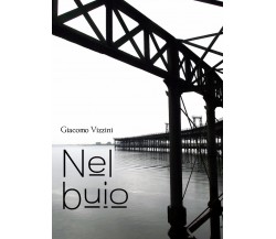 Nel buio di Giacomo Vizzini,  2018,  Youcanprint