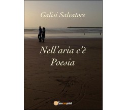 Nell’aria c’è poesia	 di Salvatore Galisi,  2016,  Youcanprint