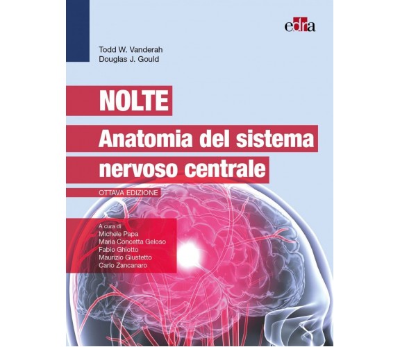 Nolte - Anatomia del sistema nervoso centrale - Edra, 2022