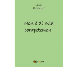 Non è di mia competenza di Giglio Reduzzi,  2016,  Youcanprint