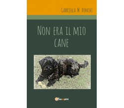 Non era il mio cane	 di Gabriella Marchi,  2020,  Youcanprint