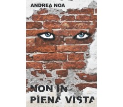 Non in Piena Vista - Andrea Noa - Independently published, 2021