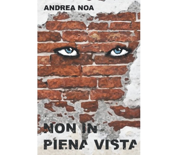 Non in Piena Vista - Andrea Noa - Independently published, 2021