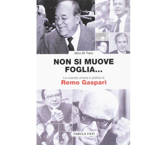 Non si muove una foglia... La vicenda umana e politica di Remo Gaspari di Gino 