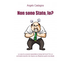 Non sono Stato, io?	 di Angelo Castagna,  2021,  Youcanprint