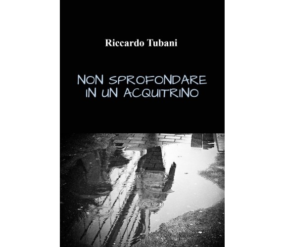 Non sprofondare in un acquitrino di Riccardo Tubani,  2021,  Youcanprint