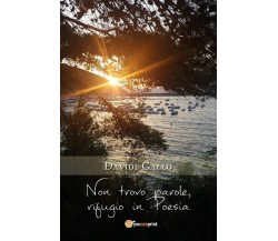 Non trovo parole, rifugio in Poesia di Davide Gallo,  2018,  Youcanprint