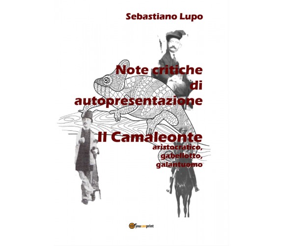 Note critiche di autopresentazione del romanzo Il Camaleonte aristocratico, gabe