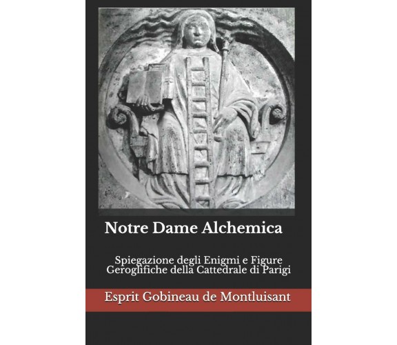 Notre Dame Alchemica Spiegazione Curiosissima Degli Enigmi e Figure Geroglifiche