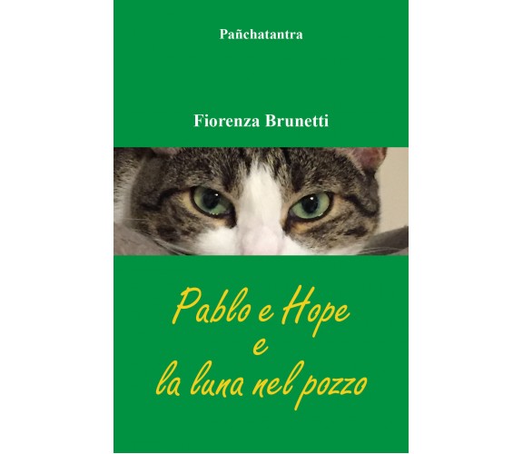 Pablo e Hope e la luna nel pozzo di Fiorenza Brunetti,  2022,  Youcanprint