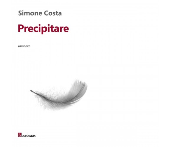 Precipitare di Simone Costa, 2015, Bordeaux