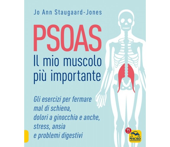 Psoas. Il mio muscolo più importante. Gli esercizi per fermare il mal di schiena