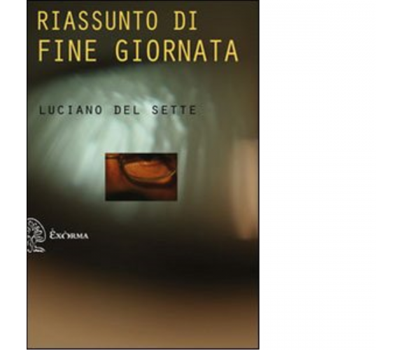 Riassunto di fine giornata di Luciano Del Sette - Exòrma, 2012