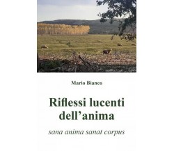  Riflessi lucenti dell’anima (sana anima sanat corpus) di Mario Bianco, 2023, 