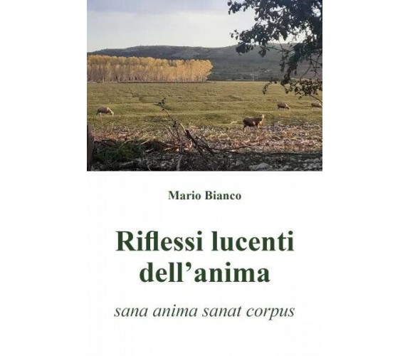  Riflessi lucenti dell’anima (sana anima sanat corpus) di Mario Bianco, 2023, 