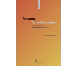 Rosarno, la rivolta e dopo. Cosa è successo nelle campagne del Sud di Mimmo Perr