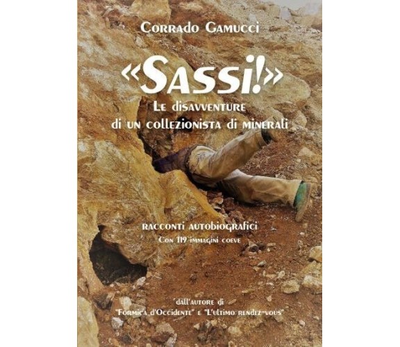 Sassi! Le disavventure di un collezionista di minerali di Corrado Gamucci, 202