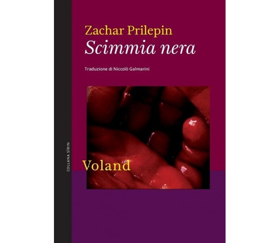 Scimmia nera di Zachar Prilepin, 2013, Voland