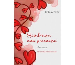 Sembrava una promessa	 di Erika Zerbini,  2018,  Youcanprint