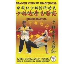 Shaolin Qi Gong Martial - Shaolin DaMo Yi Jin Jing di Bernd Hohle, Constantin Bo