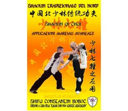 Shaolin Tradizionale del Nord Vol.17 - Hohle Bernd Hohle, Boboc Constantin 