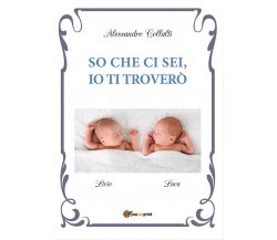 So che ci sei, io ti troverò	 di Alessandro Collalti,  2017,  Youcanprint