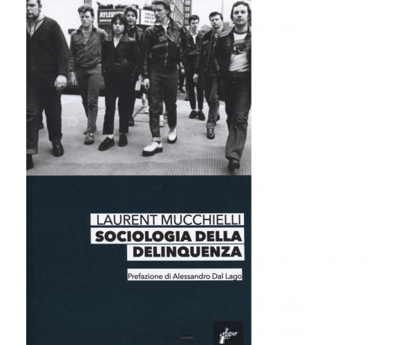 Sociologia della delinquenza di Laurent Mucchielli - Milieu, 2017