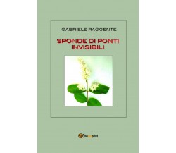 Sponde di ponti invisibili	 di Gabriele Raggente,  2020,  Youcanprint