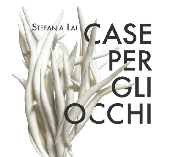 Stefania Lai: Case per gli occhi - I. Salis-Associazione culturale Asteras, 2021