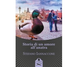 Storia di un amore all’anatra	 di Stefano Iannaccone ,  Flaneurs