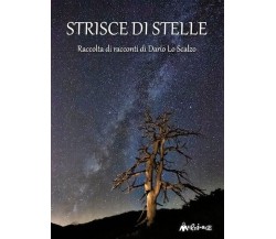 Strisce di stelle di Dario Lo Scalzo, 2018, Ass. Multimage