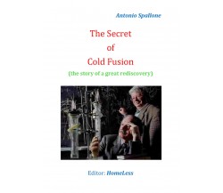 The Secret of Cold Fusion - Antonio Spallone,  2019,  Youcanprint