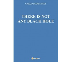 There is not any black hole, di Carlo Maria Pace,  2016,  Youcanprint  - ER