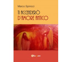 Ti accenderò d’amore antico	 di Marco Spinicci,  2017,  Youcanprint